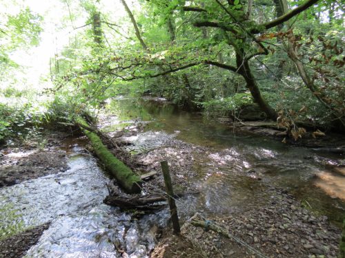 12.-Downstream-from-Stawley-Mill-weir
