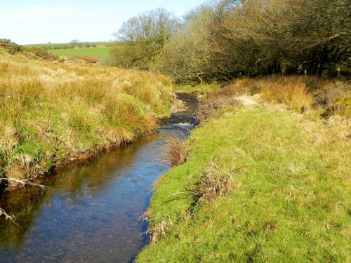 12.-Downstream-from-Upper-Willingford-Bridge-2