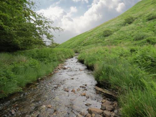 12.-Downstream-from-Warren-Bridge-below-Three-Combe-Hill-10