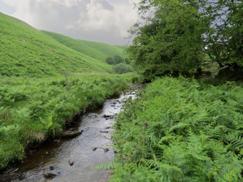 12.-Downstream-from-Warren-Bridge-below-Three-Combe-Hill-11