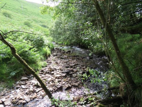 12.-Downstream-from-Warren-Bridge-below-Three-Combe-Hill-12