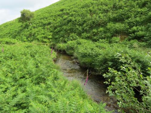 12.-Downstream-from-Warren-Bridge-below-Three-Combe-Hill-13