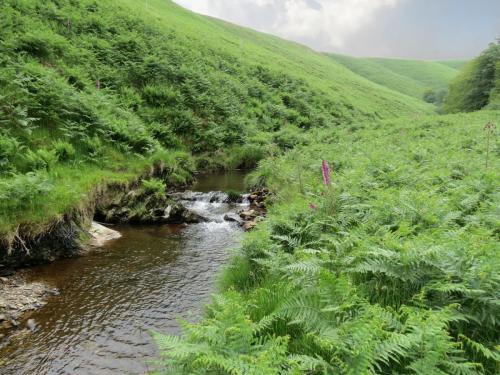 12.-Downstream-from-Warren-Bridge-below-Three-Combe-Hill-14