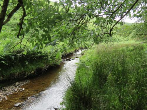 12.-Downstream-from-Warren-Bridge-below-Three-Combe-Hill-15