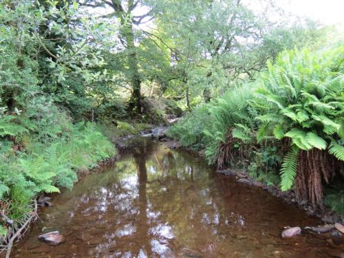 12.-Downstream-from-Warren-Bridge-below-Three-Combe-Hill-2