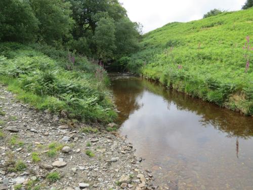 12.-Downstream-from-Warren-Bridge-below-Three-Combe-Hill-4