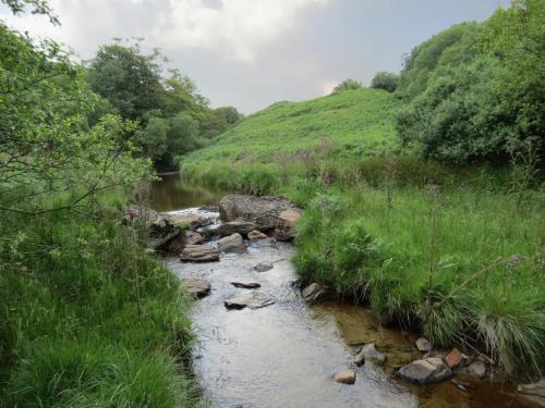 12.-Downstream-from-Warren-Bridge-below-Three-Combe-Hill-5