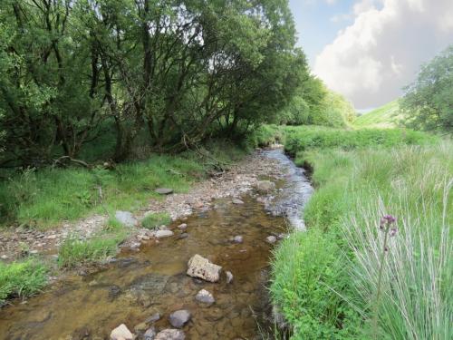 12.-Downstream-from-Warren-Bridge-below-Three-Combe-Hill-6