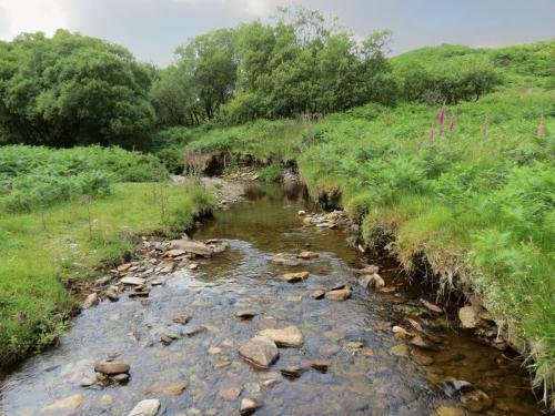 12.-Downstream-from-Warren-Bridge-below-Three-Combe-Hill-7