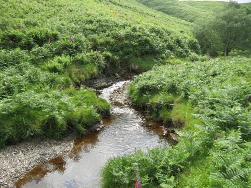 12.-Downstream-from-Warren-Bridge-below-Three-Combe-Hill-8