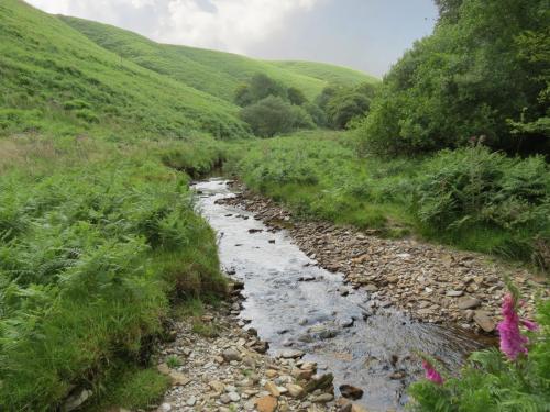 12.-Downstream-from-Warren-Bridge-below-Three-Combe-Hill-9