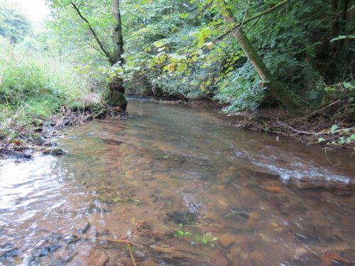 12.-Downstream-from-Waterrow-Bridge
