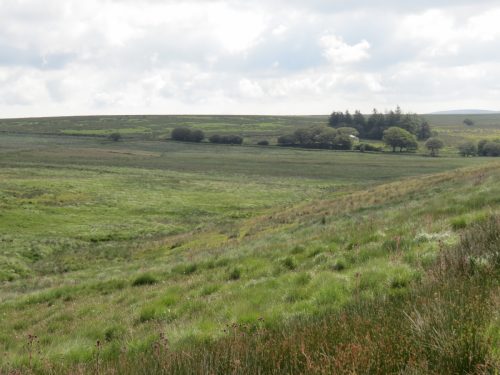 12.-Exe-valley-looking-downstream-to-Exe-Bridge