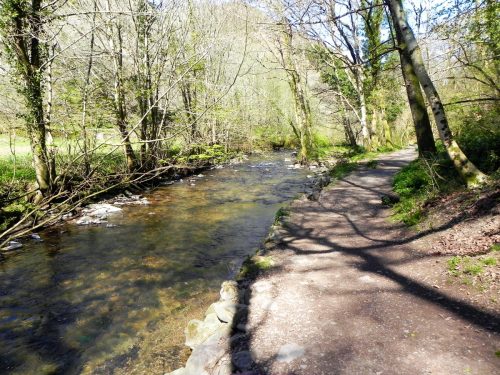 12.-Flowing-below-Heddon-Mouth-Wood-2
