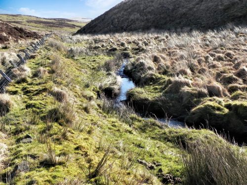 12.-Flowing-below-Hoccombe-Hill-2