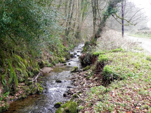 12.-Flowing-by-West-Wood-2
