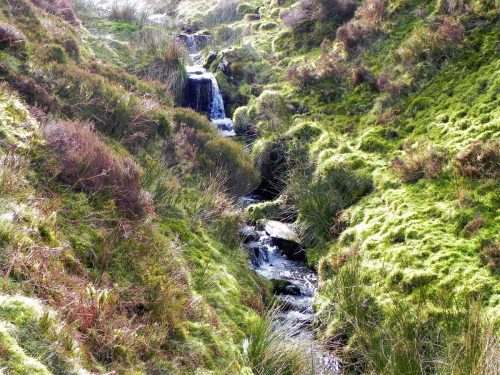 12.-Flowing-down-Ember-Combe-2