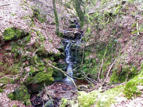 12.-Flowing-through-Luccombe-Plantation-2