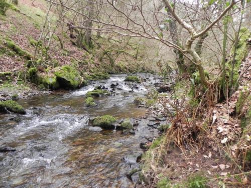 12.-Flowing-through-Wilmersham-Wood