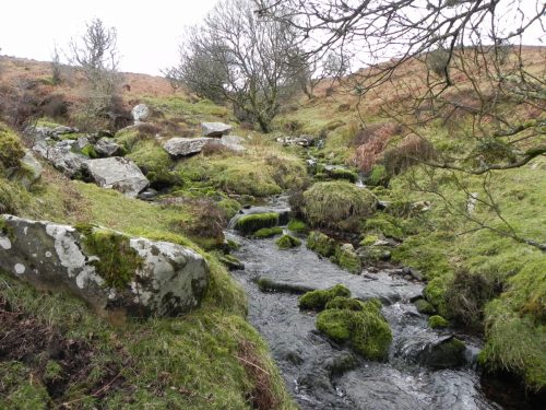 12.-Flowing-to-join-with-Farley-Water