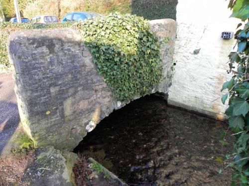 12.-Leat-footbridge-rear-of-Lady-Street-2