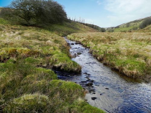 12.-Long-Holcombe-Water-joins-Sherdon-Water-2