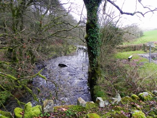 12.-Looking-Downstream-from-West-Anstey-Bridge-2