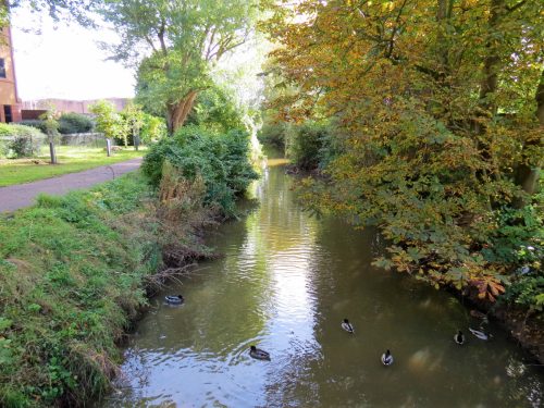 12.-Looking-downstream-from-Mill-Stream-ROW-Bridge-5298-2