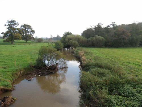 12.-Looking-downstream-from-Nynehead-House-drive-bridge