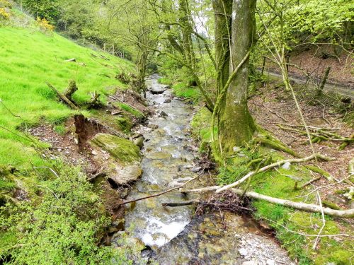 12.-Looking-downstream-to-Chargot-Woods-Accommodation-Bridge-2