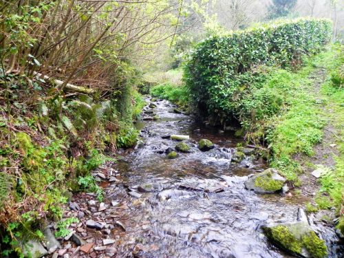 12.-Looking-upstream-Hawkcombe-Ford-2