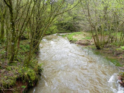 12.-Looking-upstream-from-Cleeve-Copse-ROW-Bridge-2
