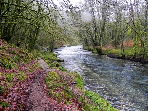 12.-Near-Ashwick-Wood-2