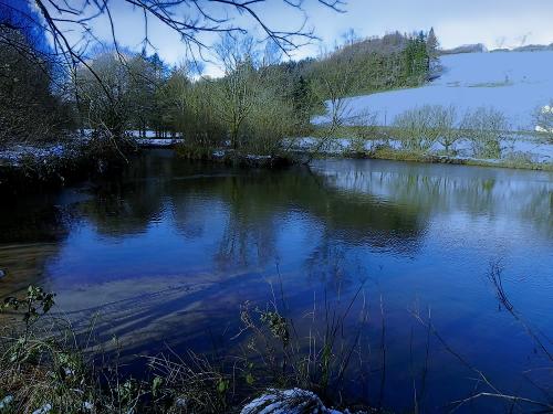 12.-Pond-upstream-from-Westermill-Farm-2