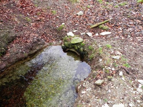 12.-Stream-emerges-from-culvert-2