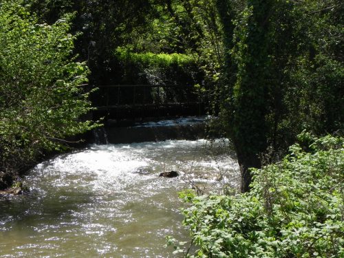 12.-Torr-Fishery-Weir