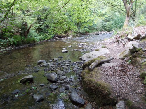 12.-Tributary-stream-Road-Wood-joins-West-Lyn