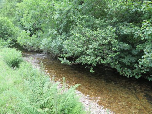 12.-Upstream-from-Ford-B-1