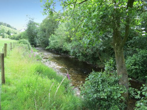 12.-Upstream-from-Ford-B-10