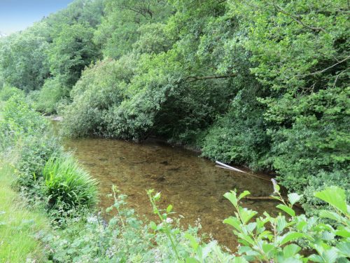 12.-Upstream-from-Ford-B-2