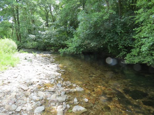 12.-Upstream-from-Ford-B-8
