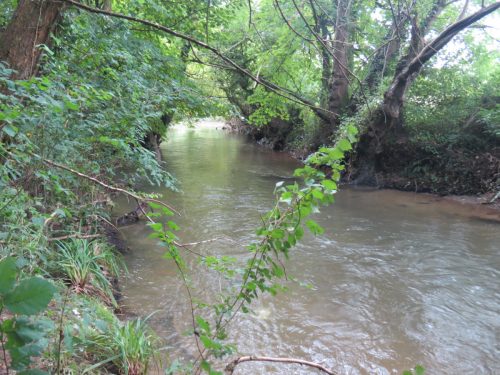 12.-Upstream-from-Greenham-2
