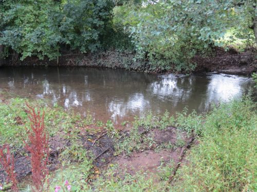12.-Upstream-from-Greenham-5