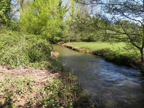 12.-Upstream-from-Lower-Washford