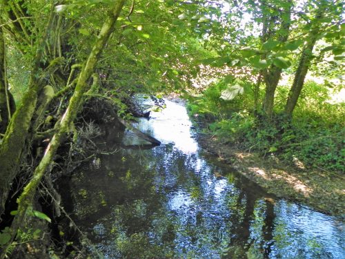 12.-Upstream-from-Tuck-Mill-2