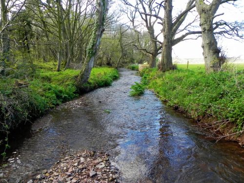 12.-Upstream-from-Water-Quality-Station-2
