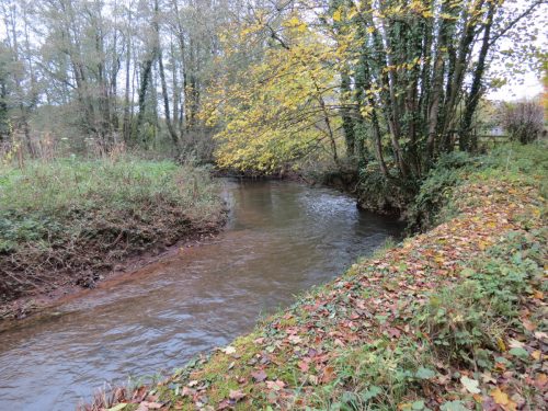 12.-Upstream-from-Wellisford-Bridge