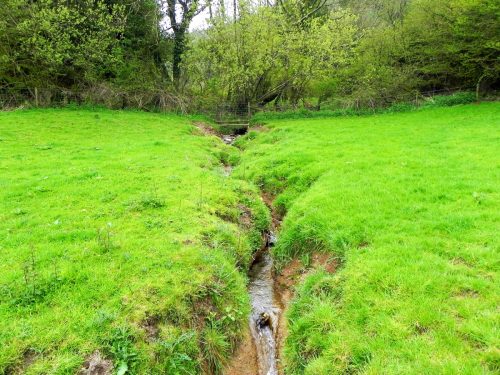 12.-Upstream-from-join-with-Washford-River-5