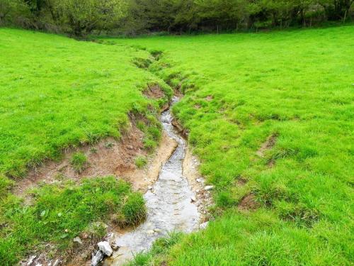 12.-Upstream-from-join-with-Washford-River-7