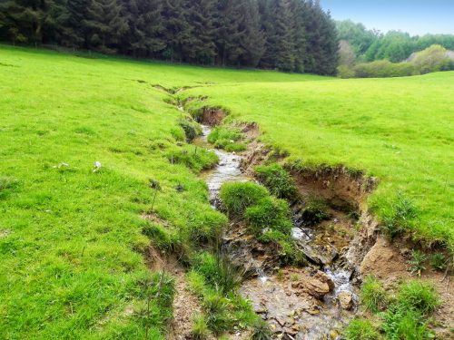 12.-Upstream-from-join-with-Washford-River-8
